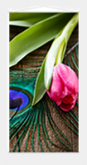 Banner  1.00x1.20
