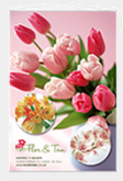 Banner 40x60